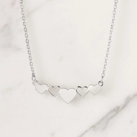 Ланче со 5 Срциња