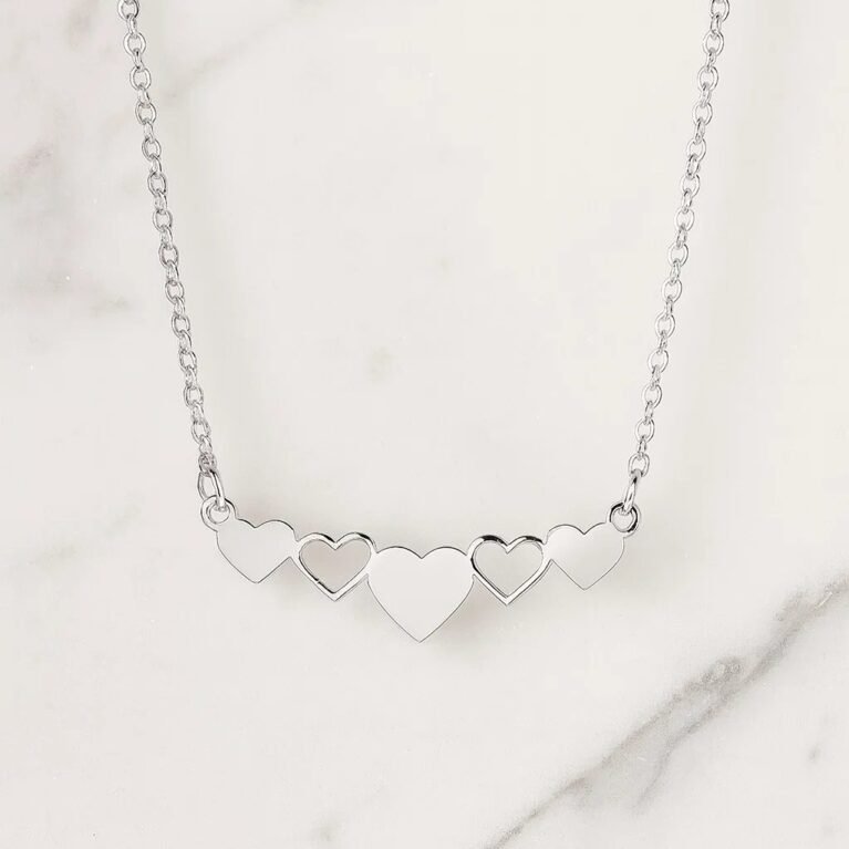 Ланче со 5 Срциња