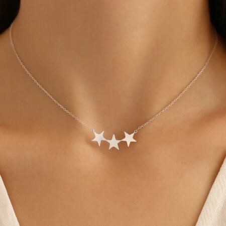 Ланче со 3 звезди